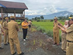 Direktur Kementan Tinjau Langsung Potensi 10.000 Ha Cetak Sawah di Luwu Timur