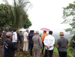 Bupati Irwan Tinjau Kebun Lada Loeha, Dorong Solusi Kolaboratif Antara Petani dan PT. Vale