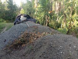 150 Sak Semen Membatu di Lokasi Proyek Jalan Tani Desa Sukamaju, Diduga Terjadi Pembiaran