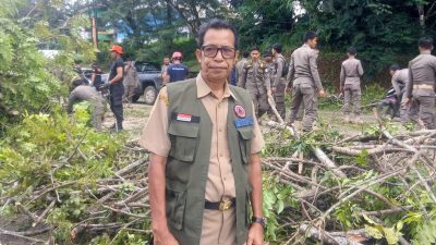 Pemkab Luwu Timur Intensifkan Penataan Pohon dan Infrastruktur Kota Malili, Wujudkan Kawasan Perkotaan yang Aman dan Asri