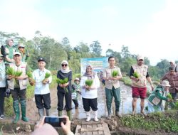 Sinjai Ambil Bagian dalam Gerakan Tanam Padi Nasional, 2.260 Hektare Sawah Siap Digenjot