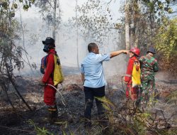Karhutla Meluas di Malili, Bupati Irwan Turun Langsung Bersama Tim Gabungan Padamkan Api