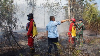 Karhutla Meluas di Malili, Bupati Irwan Turun Langsung Bersama Tim Gabungan Padamkan Api