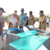Dari Tambak Lokal ke Pasar Sinjai, Bupati Ratnawati Dorong Udang Vaname Jadi Penggerak Ekonomi Daerah