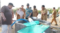 Dari Tambak Lokal ke Pasar Sinjai, Bupati Ratnawati Dorong Udang Vaname Jadi Penggerak Ekonomi Daerah