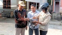 Pengendalian Rabies di Tomoni Timur Diperluas, 437 Anjing dan Kucing Jalani Vaksinasi