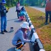 Jelang Penilaian Adipura, BKPSDM Luwu Timur Benahi Median Jalan Soekarno-Hatta
