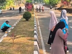 Dukung Persiapan Adipura, Bapperida Lutim Turun Langsung Benahi Kebersihan dan Median Jalan